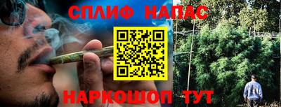дживик Донской